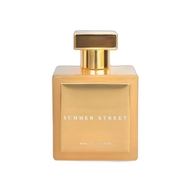 brandt summer street