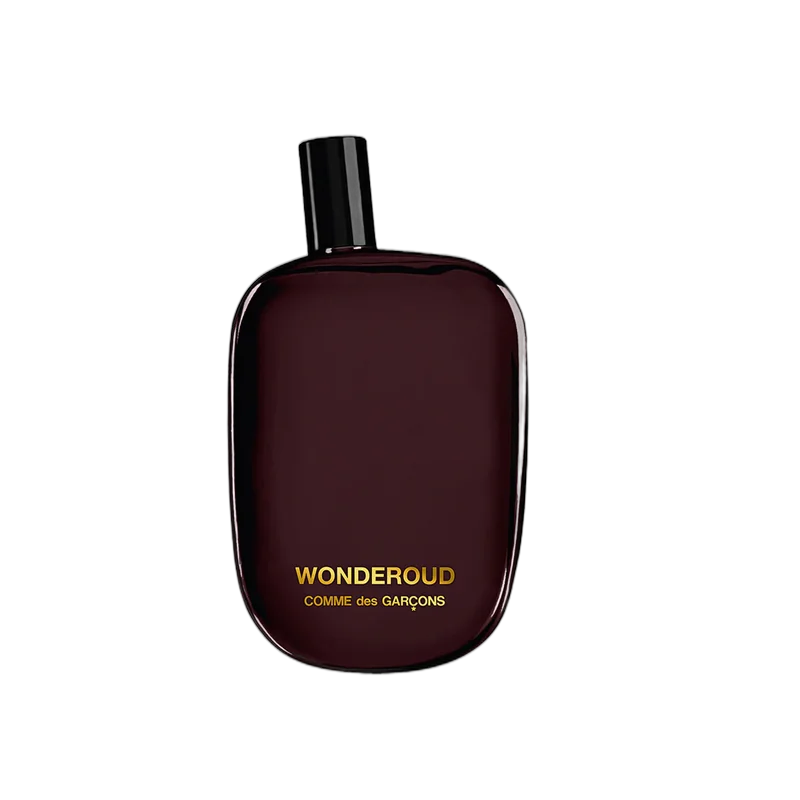 comme des garcons wonderoud