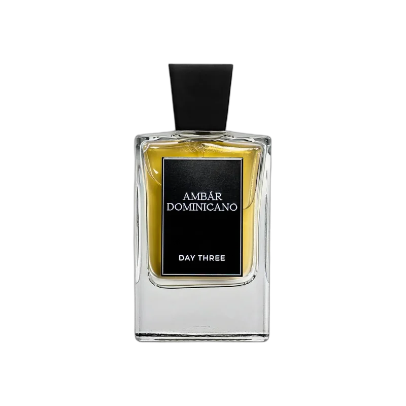 day 3 fragrances ambar dominicano