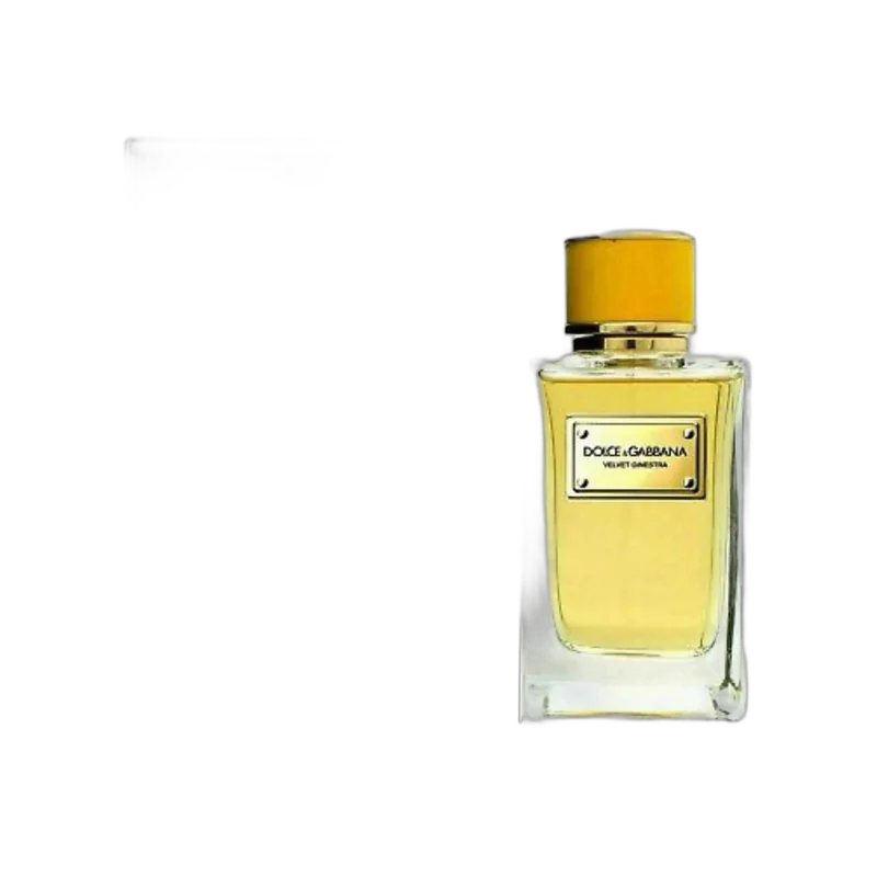 dolce and gabbana velvet ginestra