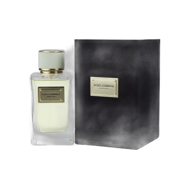 dolce and gabbana velvet pure
