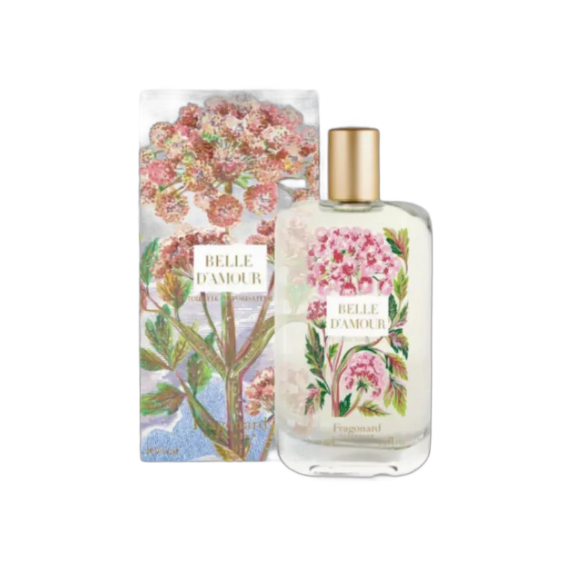 fragonard belle damour