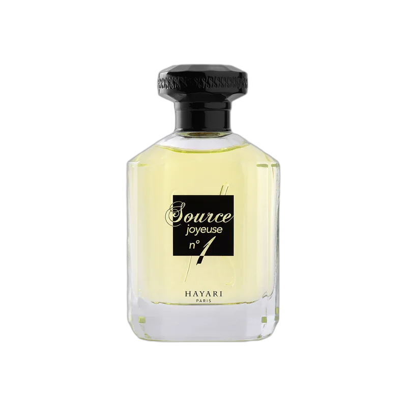 hayari source joyeuse no 1