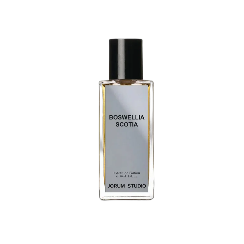 jorum studio boswellia scotia