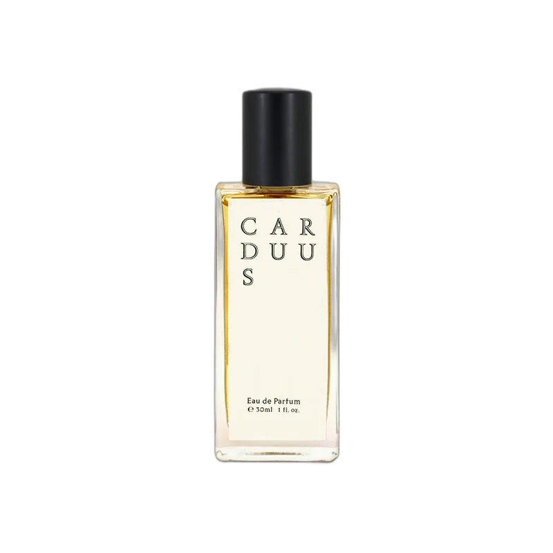 jorum studio carduus