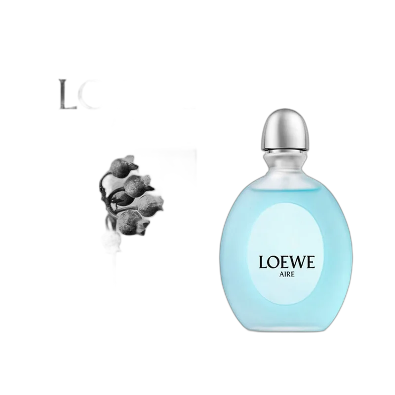 loewe a mi aire