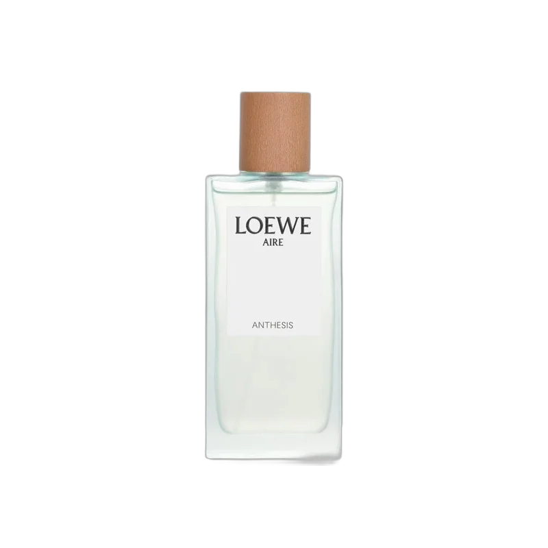 loewe aire anthesis
