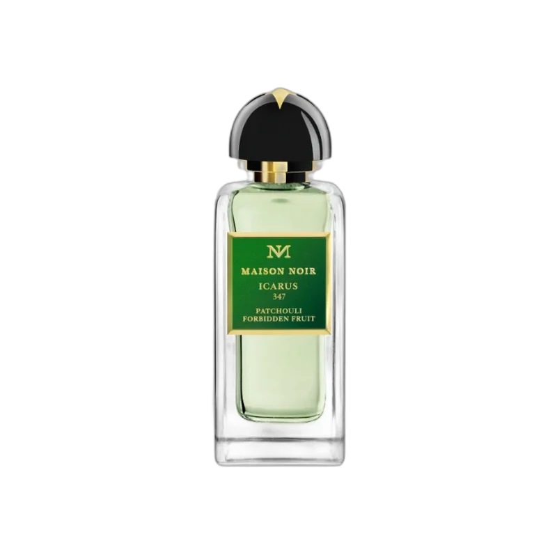 maison noir icarus 347