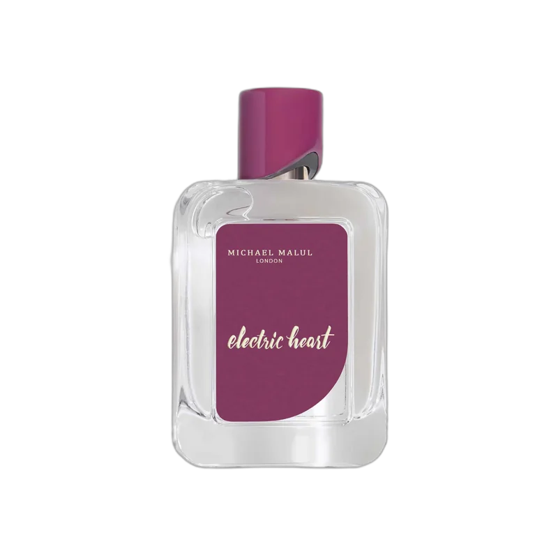 michael malul electric heart