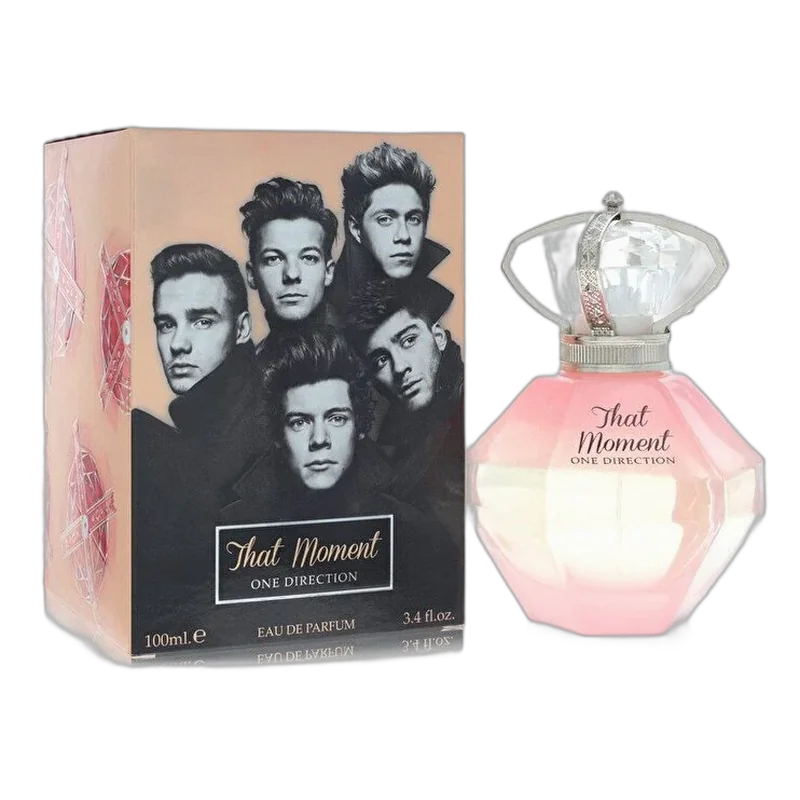 1 direction that moment
