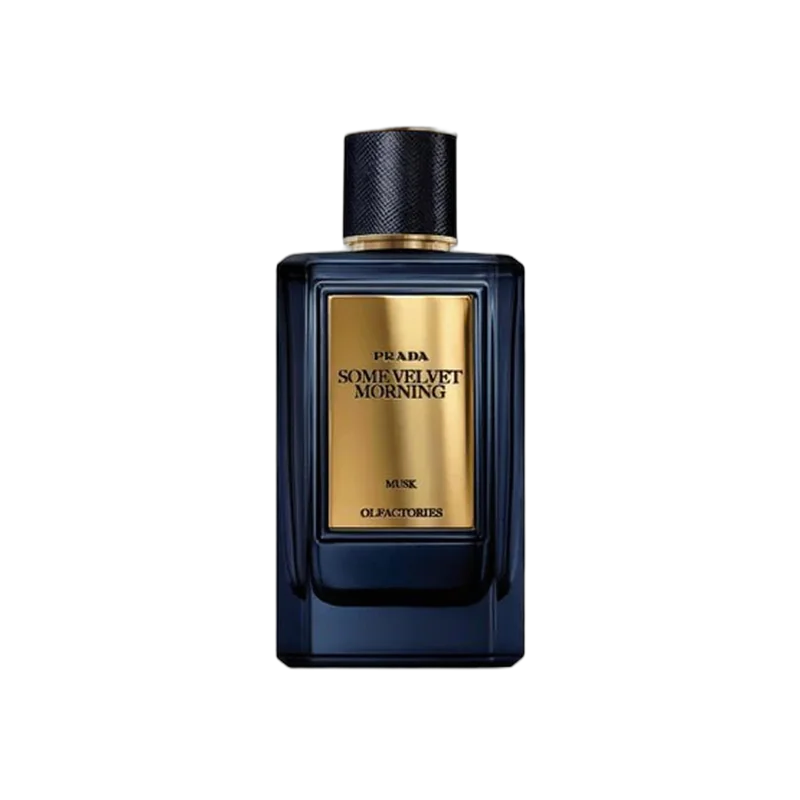 prada some velvet morning