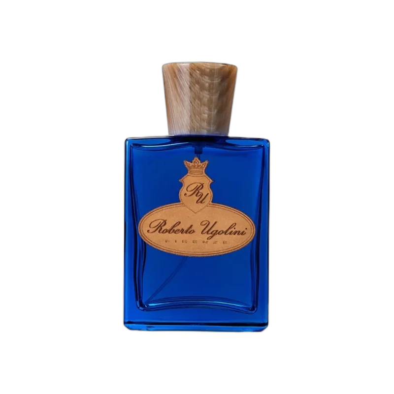roberto ugolini blue suede shoes