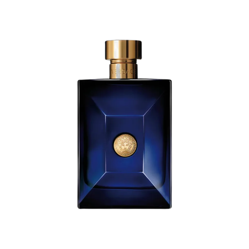 versace versace pour homme dylan blue eau de toilette