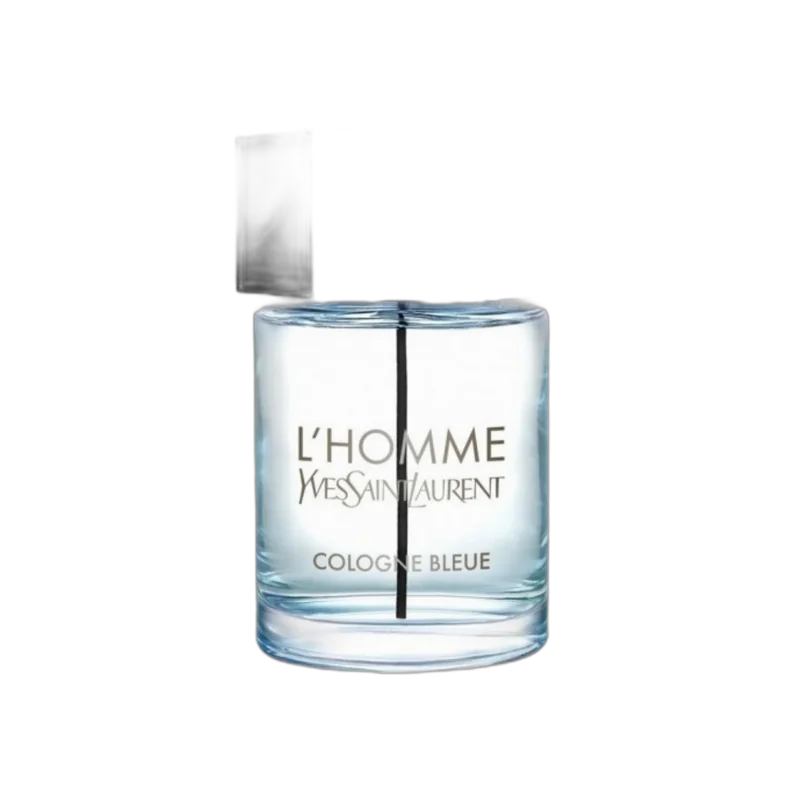 yves saint laurent lhomme eau de parfum